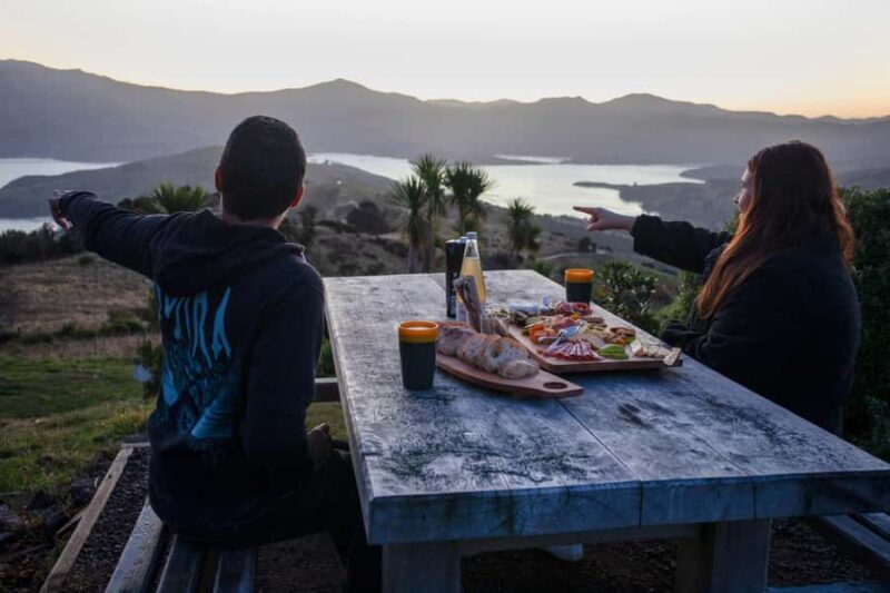 Akaroa: Astronomy Bites Tour with 3 telescopes and platter - Experience Overview