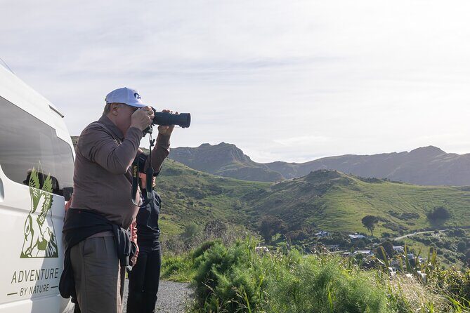 Akaroa & Banks Peninsula from Lyttelton(Private Shore Excursion) - Key Points