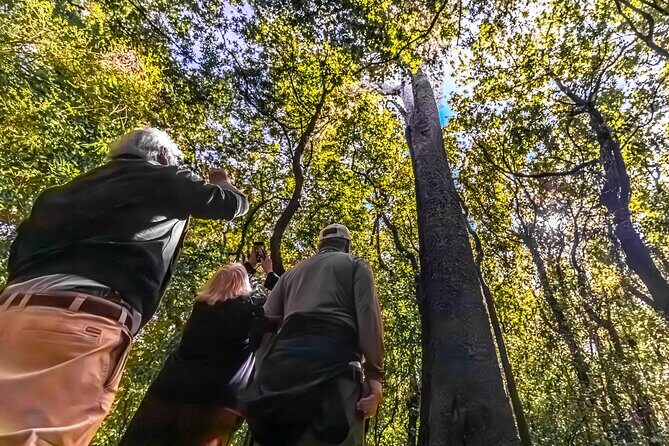 Akaroa & Banks Peninsula from Lyttelton(Private Shore Excursion) - Practical Details: Timing, Transport, and Booking