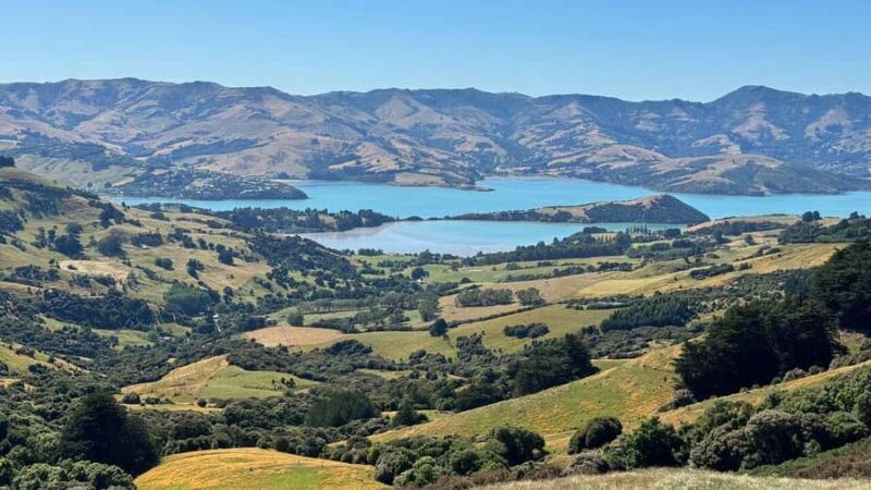Akaroa Day Tour From Christchurch - Key Points