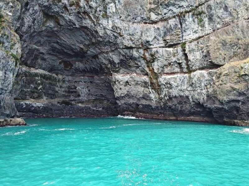 Akaroa Day Tour From Christchurch - What Is the Value?