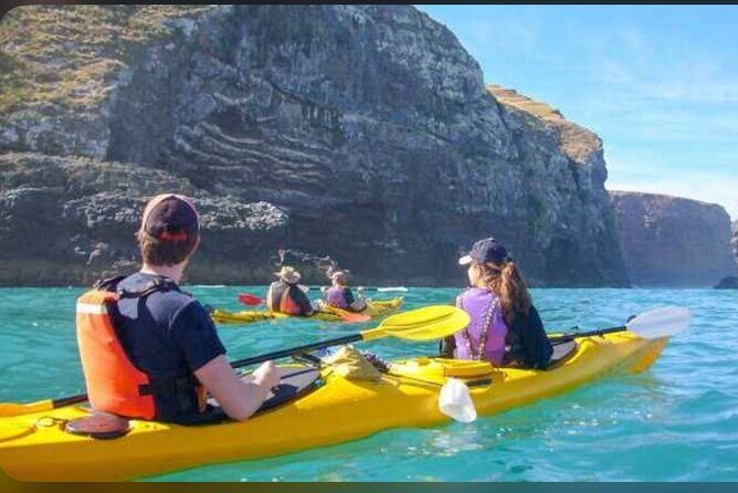 Akaroa Day Tour From Christchurch - Final Thoughts