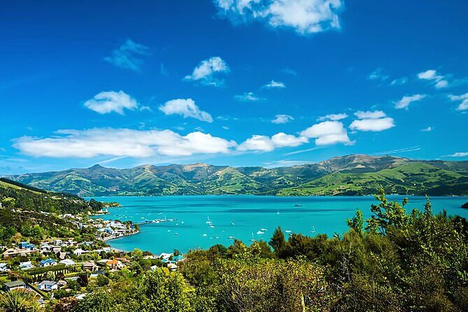 Akaroa Day Tour from Christchurch Return - The Itinerary in Detail: What to Expect