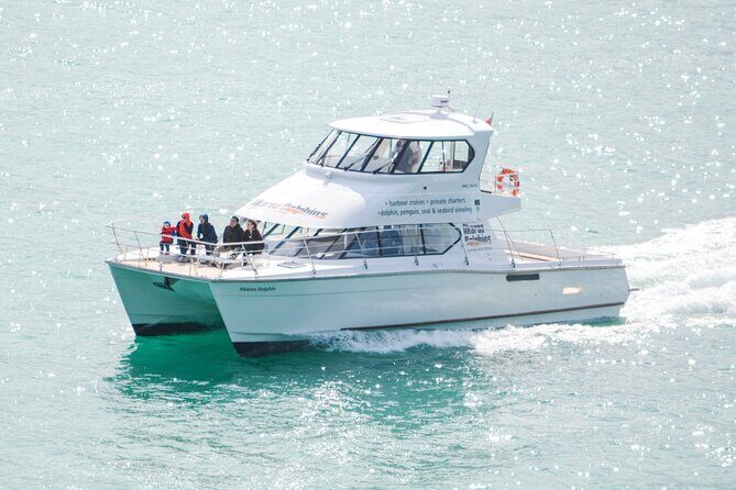 Akaroa Dolphins ~ Harbour Nature Cruise - The Experience on the Water: Comfort and Extras