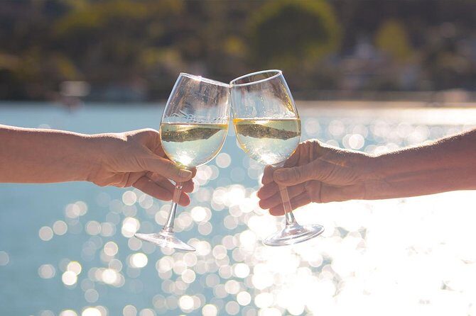 Akaroa Dolphins ~ Harbour Nature Cruise - Practical Tips for Travelers