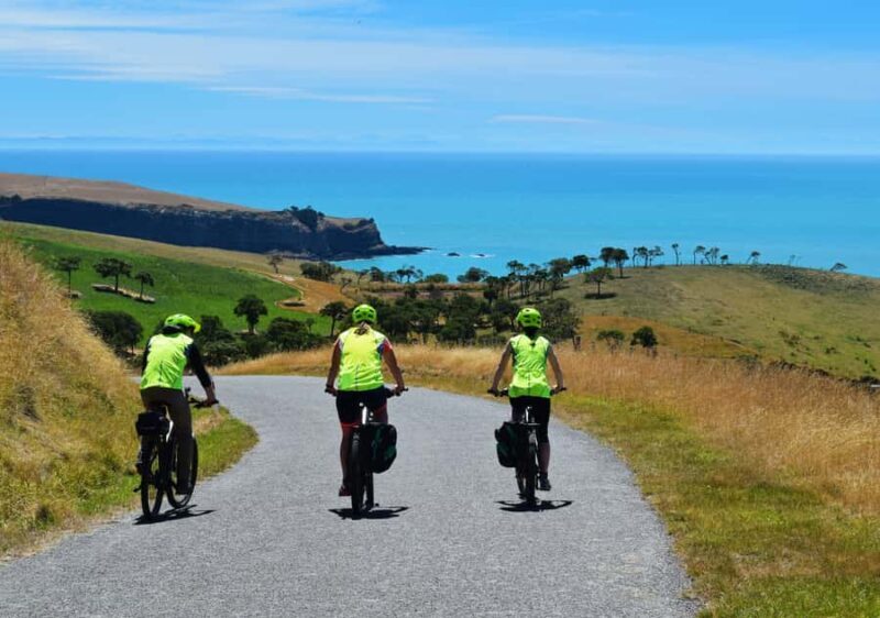 Akaroa: Electric Mountain Bike and Sea Kayak Adventure - The Sum Up: Who Will Love This Tour?