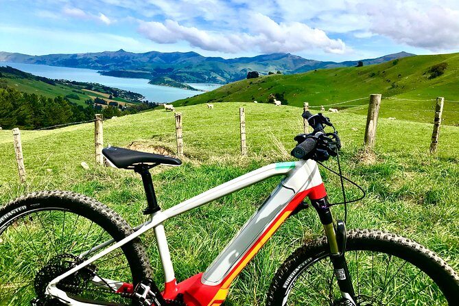 Akaroa Explorer- Guided Electric Bike Tour in Akaroa - What’s Included and What to Expect