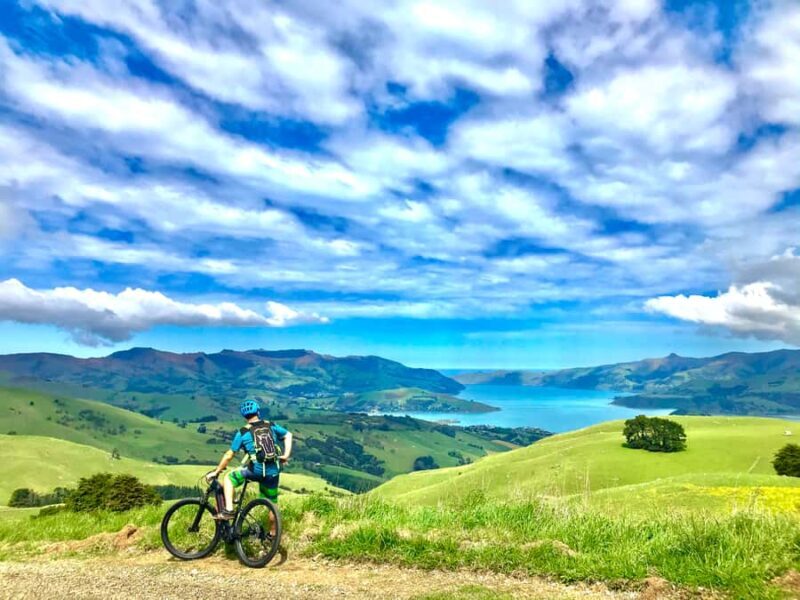Akaroa Explorer: Guided Electric Mountain Bike Tour - Key Points