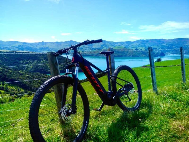 Akaroa Explorer: Guided Electric Mountain Bike Tour - The Ride Experience