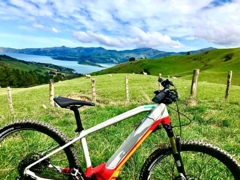 Akaroa Explorer: Guided Electric Mountain Bike Tour - Who Will Love This Tour?