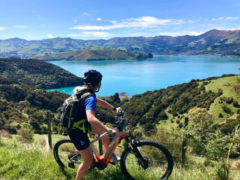 Akaroa Explorer: Guided Electric Mountain Bike Tour - Final Thoughts