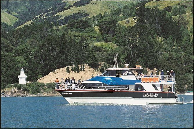 Akaroa Full Day Sightseeing Tour from Christchurch - The Cheese Factory and Local Flavors