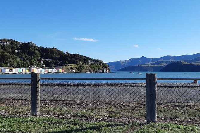Akaroa & Giants House Garden tour ex Lyttelton (Shore Excursion) - Who Will Love This Tour?
