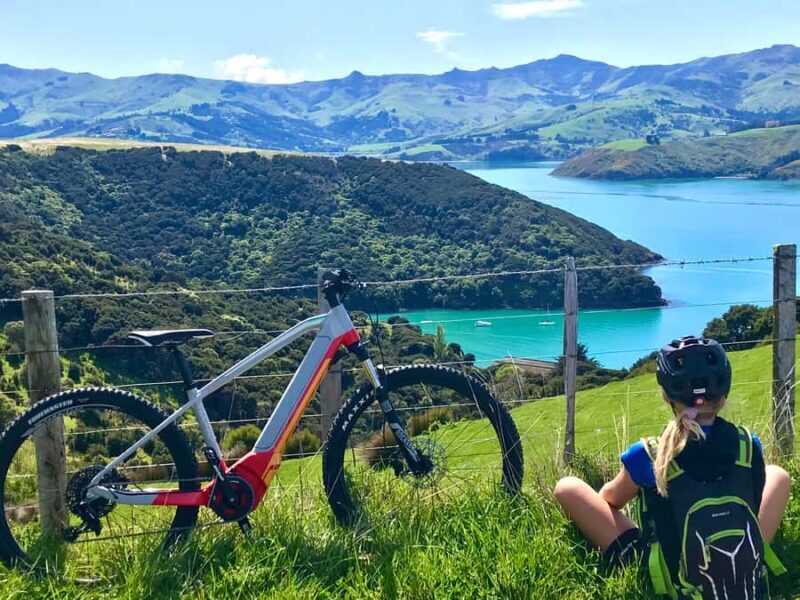 Akaroa: Guided Electric Mountain Bike Tour-Lava Loop - An In-Depth Look at the Lava Loop E-Mountain Bike Tour
