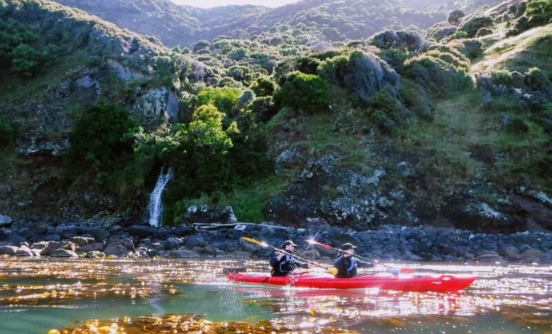 Akaroa: Guided Sunrise Sea Kayaking Tour - Key Points