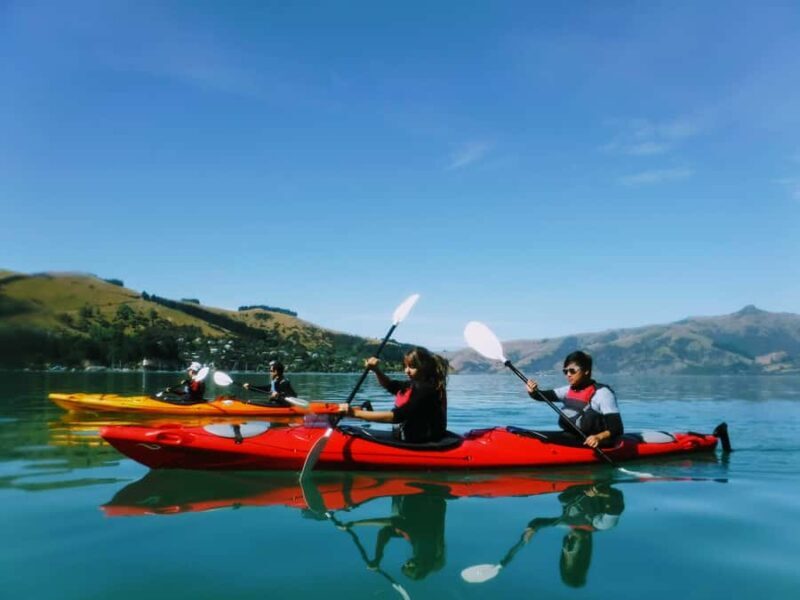 Akaroa: Guided Sunrise Sea Kayaking Tour - An In-Depth Look at the Akaroa Sunrise Kayaking Experience