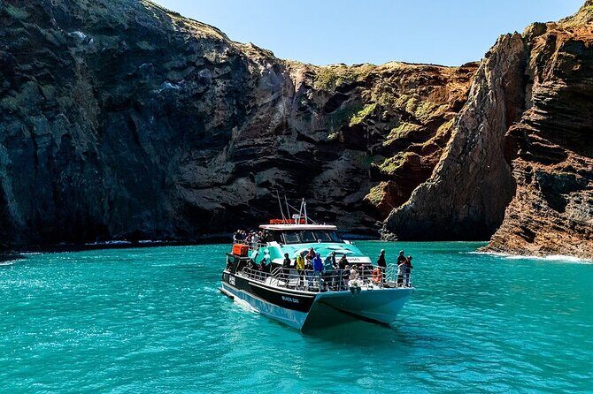 Akaroa Harbour Nature Cruise - What to Expect on the Akaroa Harbour Nature Cruise