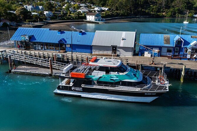 Akaroa Harbour Nature Cruise - FAQs