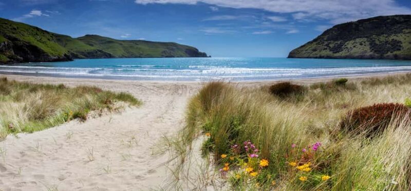 Akaroa: Lonely Beach Trail by E-Scooter. selfguided day out - What Makes This Trail Special?