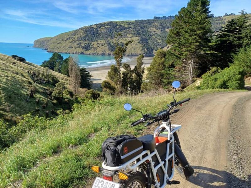 Akaroa: Lonely Beach Trail by E-Scooter. selfguided day out - Authentic Experiences and Reviews