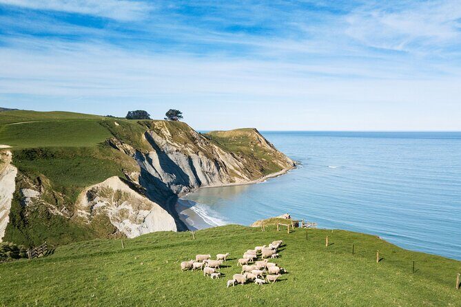 Akaroa Private Day Tour From Christchurch (Carbon Neutral) - Practicalities and Considerations