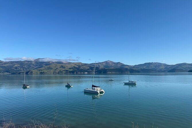 Akaroa Private Day Tour from Christchurch - FAQs