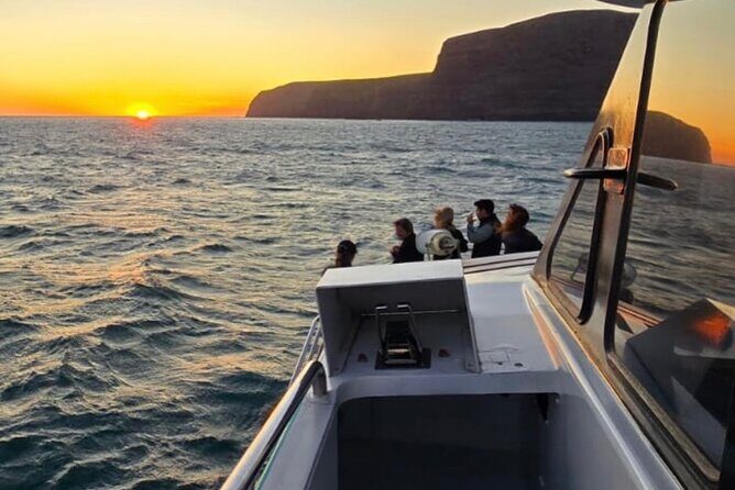 Akaroa Private Day Trip From Christchurch - Analyzing the Cost and Value