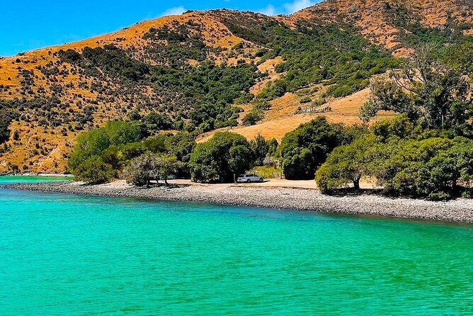 Akaroa Private Group Day Trip from Christchurch - Key Points