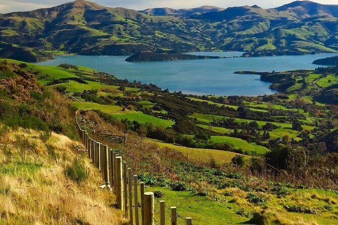 Akaroa Private Group Day Trip from Christchurch - How the Experience Translates for You