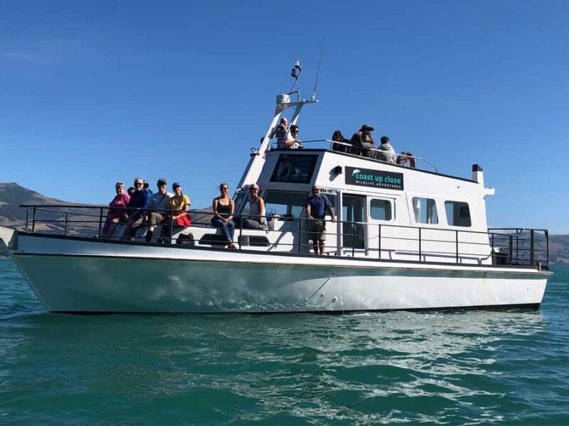 Akaroa: Scenic Coastline Wildlife Cruise - FAQs