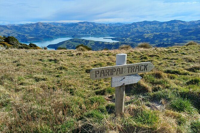 Akaroa Self Guided Electric Scooter Tour - Practical Tips for Future Participants