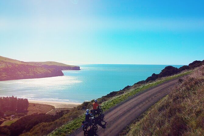 Akaroa Self Guided Electric Scooter Tour - Final Thoughts: Who Should Consider This Tour?