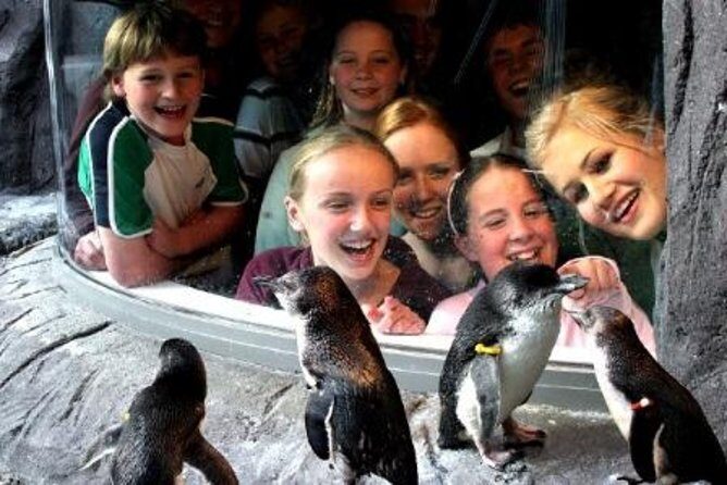 Akaroa Shore Excursion: Banks Peninsula, Christchurch City Tour and the International Antarctic Centre - FAQ