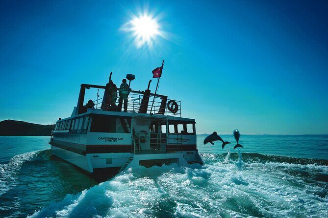 Akaroa Swim with Dolphins Tour from Christchurch - What’s Included & What’s Not