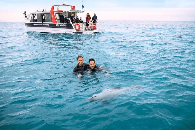 Akaroa Swim with Dolphins Tour from Christchurch - The Value Proposition