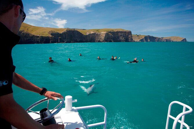 Akaroa Swim with Dolphins Tour from Christchurch - FAQ
