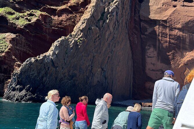 Akaroa Wildlife Cruise - Price and Value Analysis