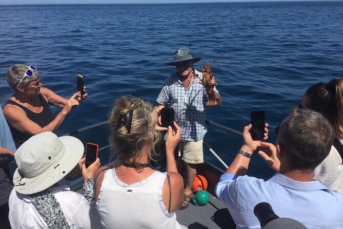 Akaroa Wildlife Cruise - FAQs