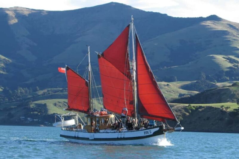 Akaroa: Wildlife Cruise with Dolphins and Penguins - An In-Depth Look at the Akaroa Wildlife Cruise