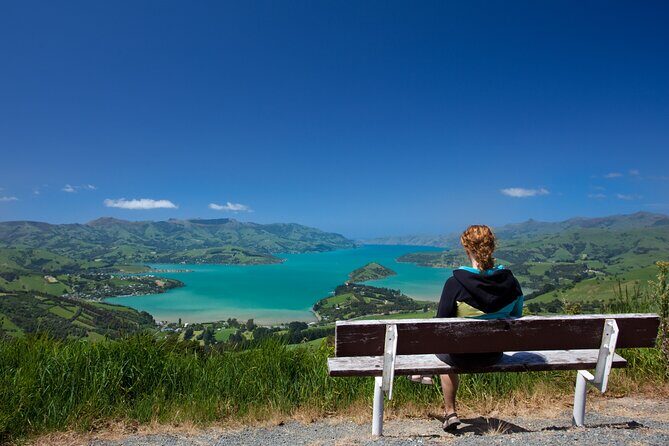 Akaroa with optional dolphin cruise (Small Group Tour) - Analyzing the Value