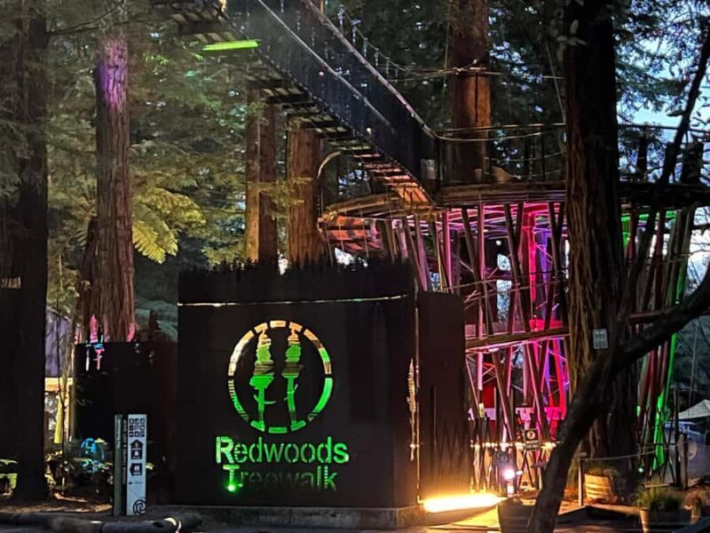 AKL: Te Puia Maori Haka, Kiwi Birds, Redwood & Blue Springs - Who Is This Tour Best Suited For?