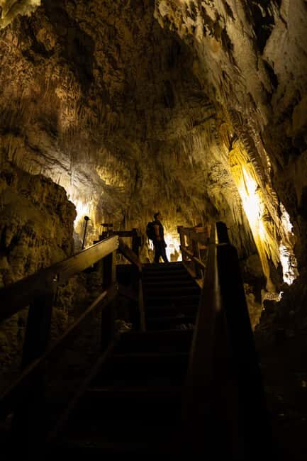 AKL: WAITOMO Glowworm, KIWI Bird, LUNCH & Hamilton Gardens - FAQ