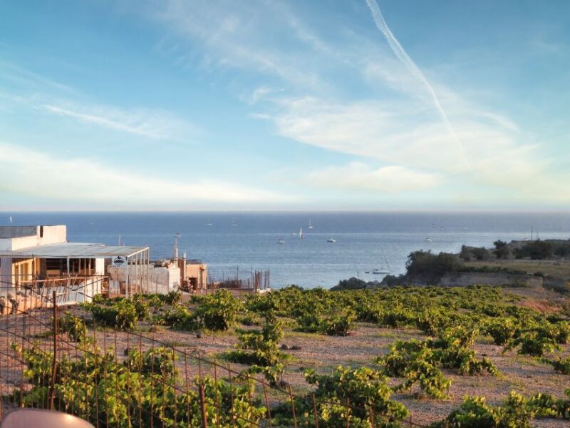 Akrotiri: Guided Horseback Riding Day Trip to a Beach - What to Expect During Your Ride