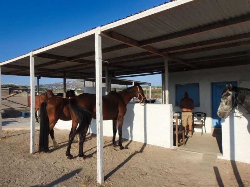 Akrotiri: Guided Horseback Riding Day Trip to a Beach - Authentic Experiences That Keep Guests Coming Back