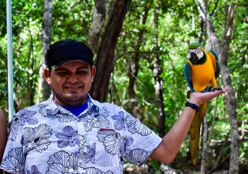 Akumal: Explore the Monkey Sanctuary, ATV Circuit and Cenote - An Overview of the Tour Experience