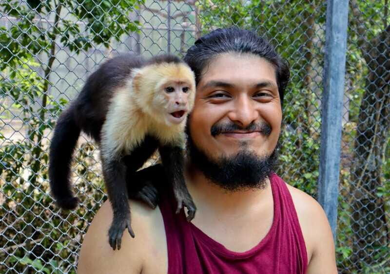 Akumal: Explore the Monkey Sanctuary, ATV Circuit and Cenote - Wildlife Encounters and Animal Interactions