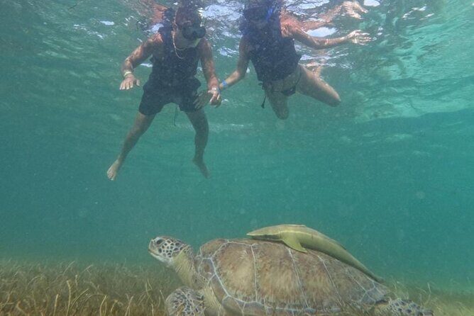 Akumal : Guided Snorkeling with Green Turtles and Corals - FAQ