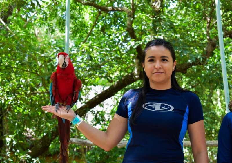 Akumal: Monkey Sanctuary, ATV, Cenote, & Yalku Snorkel Tour - Introduction: The Allure of Combining Wildlife and Adventure