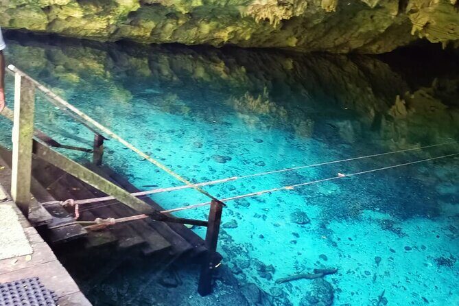 Akumal paradise tour Swimming with Turtles & ancient Tulum Ruins. Lunch included - FAQ