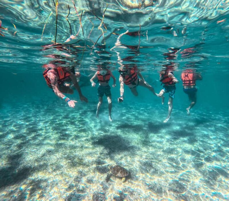 Akumal: Sea Turtles Snorkeling Tour with Park Entry Fee - What the Reviews Say: Authentic Perspectives